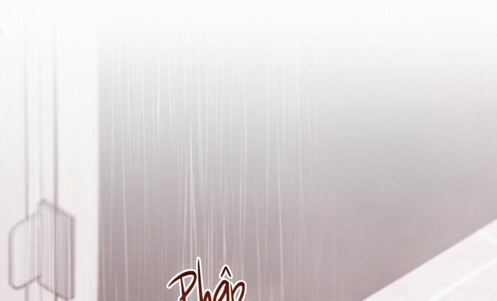 Tháng 12 Của Tôi 36 trang 176