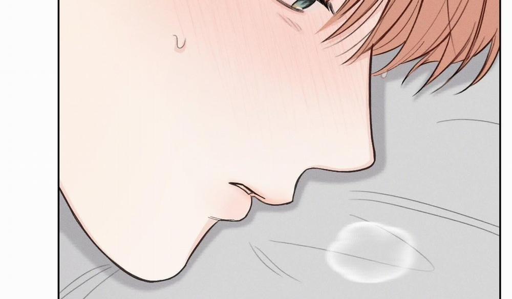 Tháng 12 Của Tôi 39 trang 35