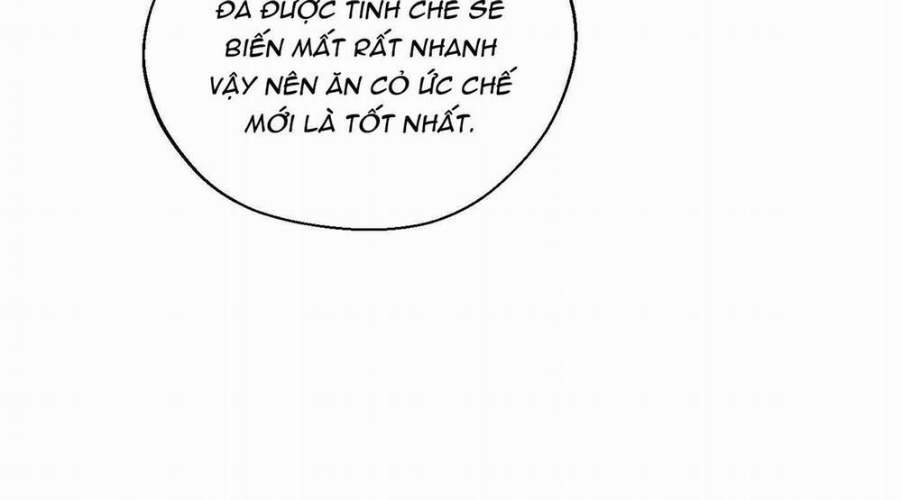 Tháng 12 Của Tôi 4 trang 24