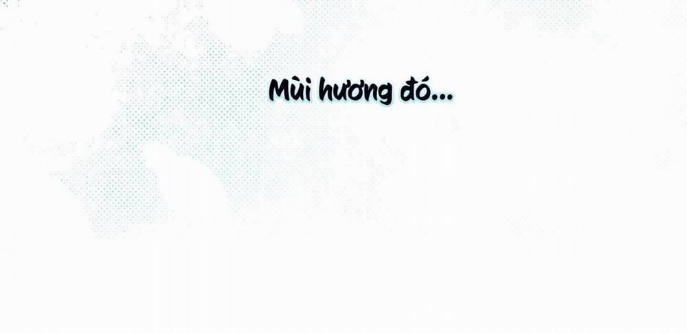 Tháng 12 Của Tôi 8 trang 95