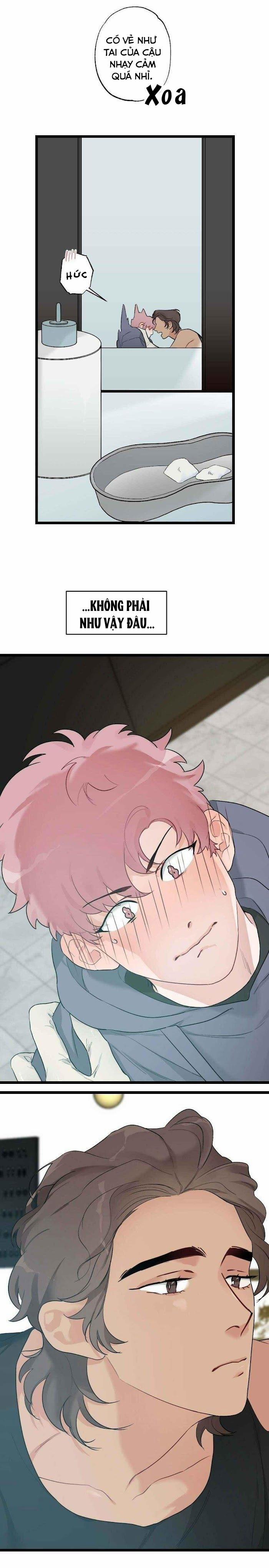 Tháng Nào Cũng Là Ngực Bự 40 trang 1