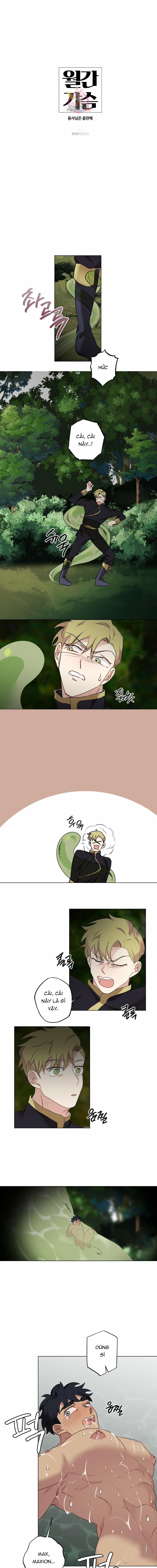 Tháng Nào Cũng Là Ngực Bự 51 trang 0