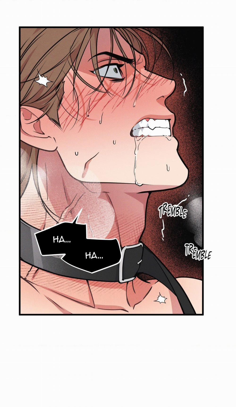 Thanh Âm Cực Đại 123.2 trang 11