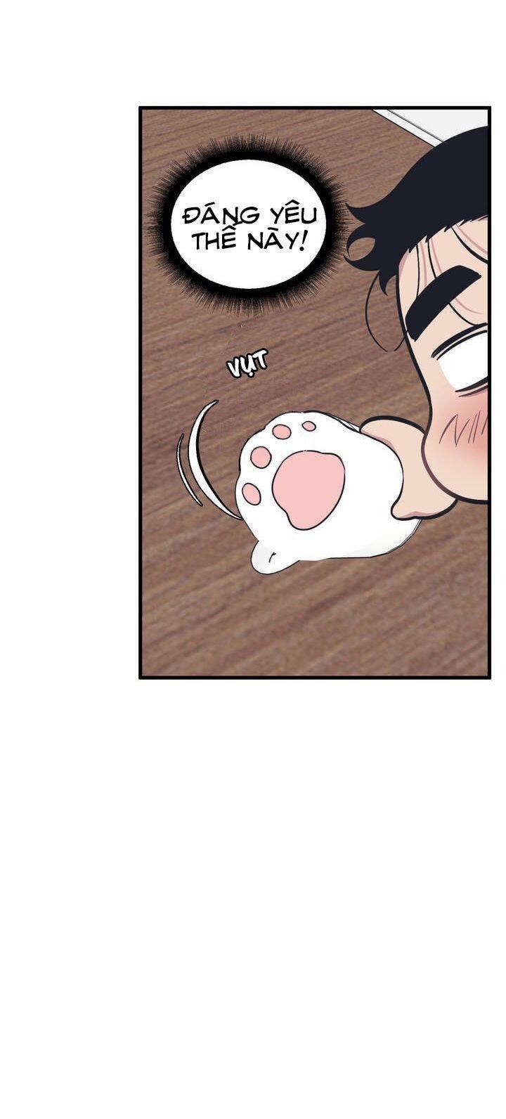 Thanh Âm Cực Đại 4 trang 17