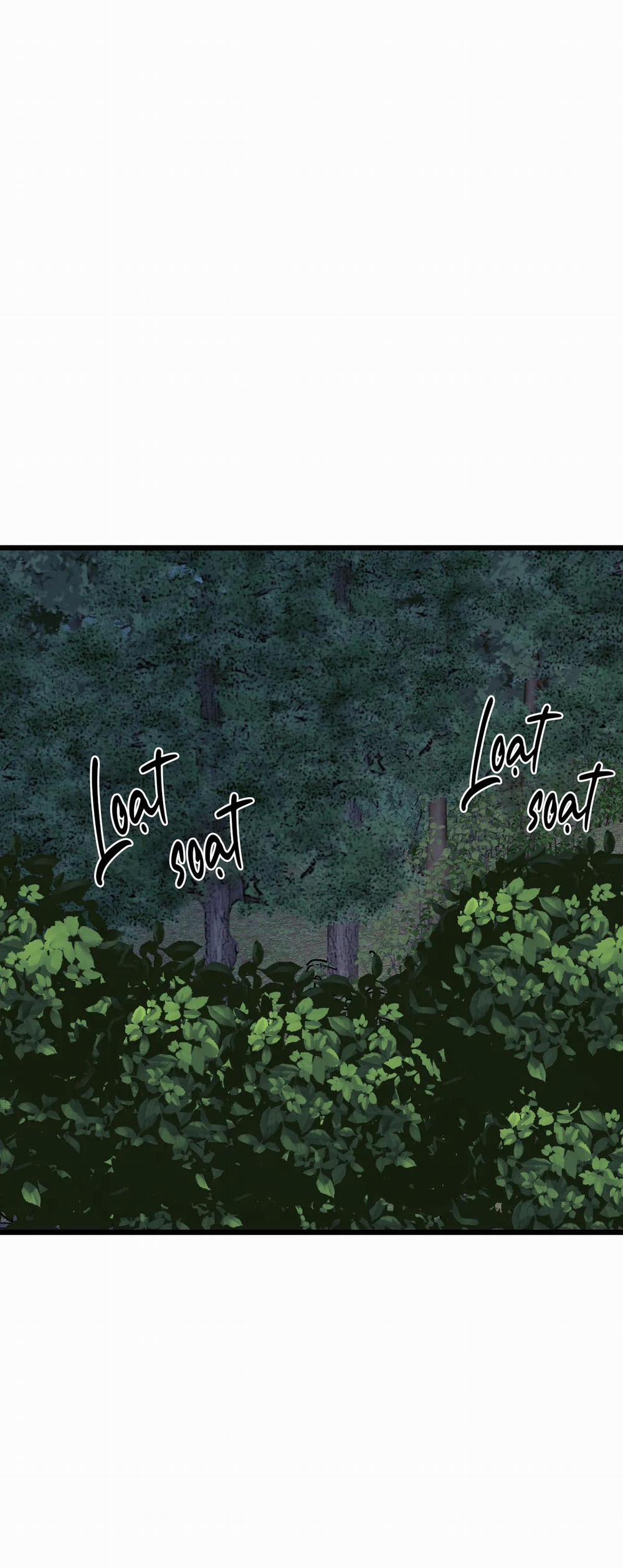 Thanh Âm Cực Khoái 53 trang 52