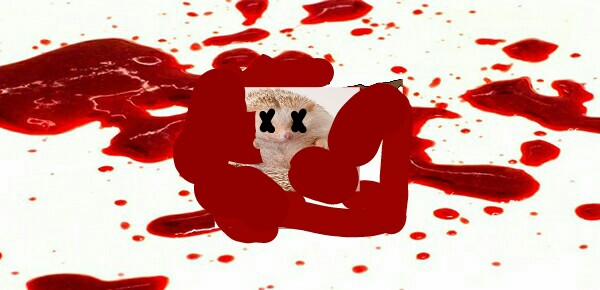 Thánh Deadpool 1-Hi I'm Deadpool trang 2