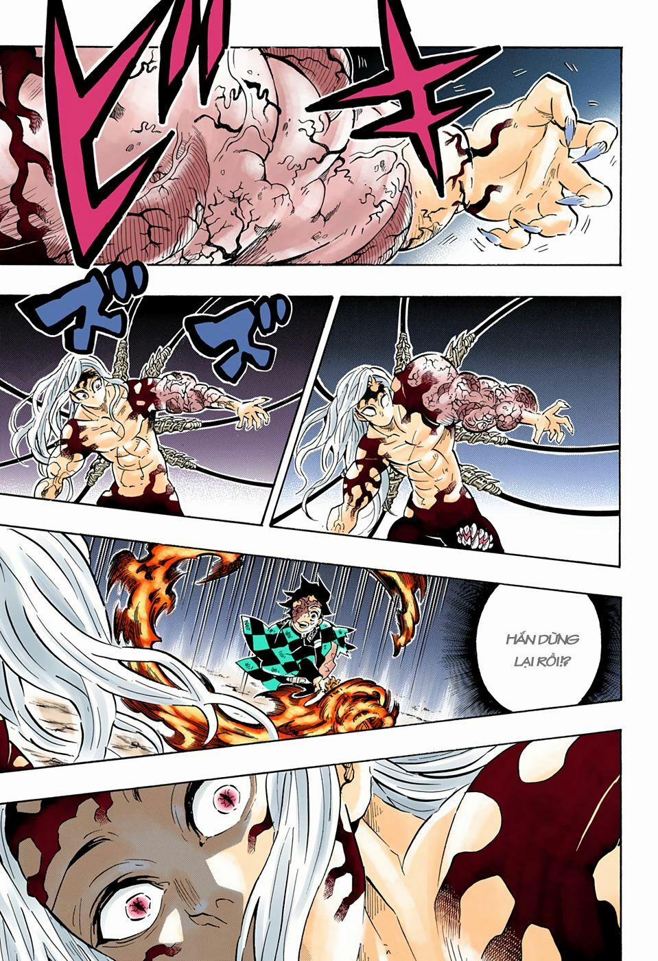 Thanh Gươm Diệt Quỷ 196 trang 19