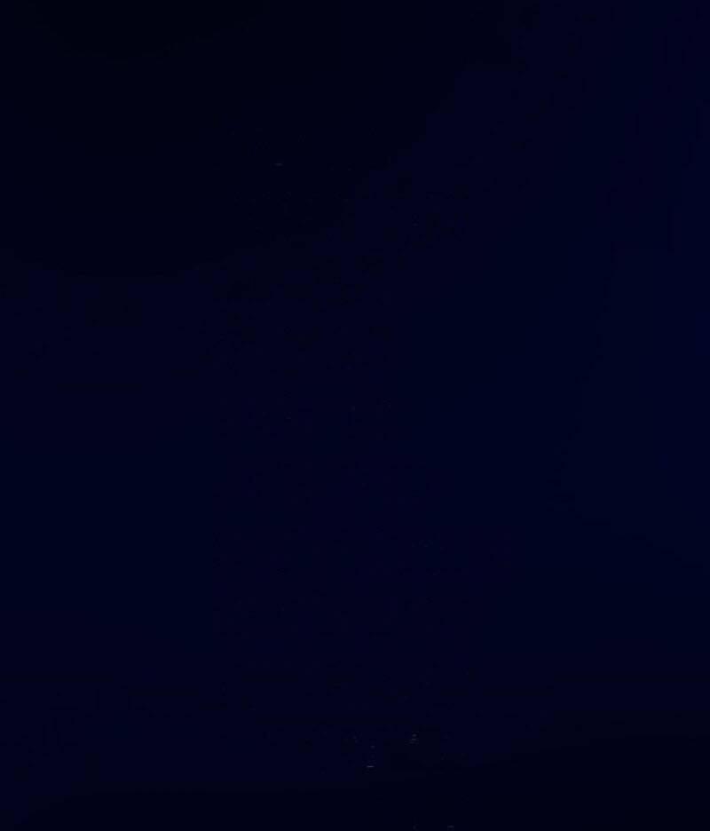 Thánh Khư 289 trang 19