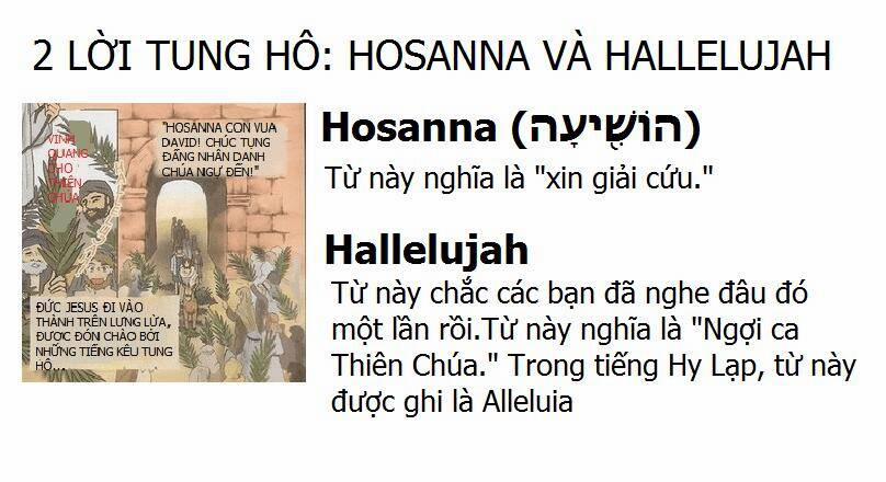 Thánh Kinh Truyện – Đấng Cứu Thế 16 trang 11