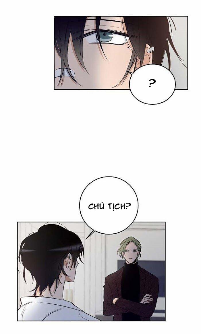 Thành Phố Cạm Bẫy 10 trang 12