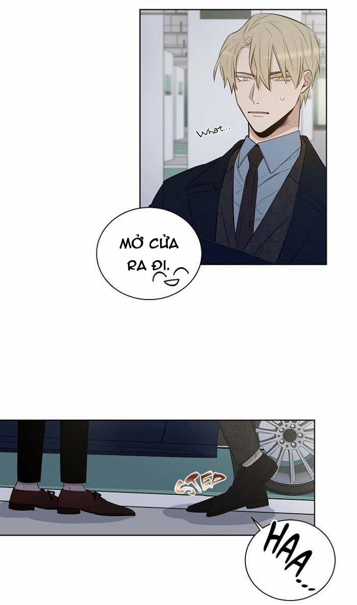 Thành Phố Cạm Bẫy 10 trang 36
