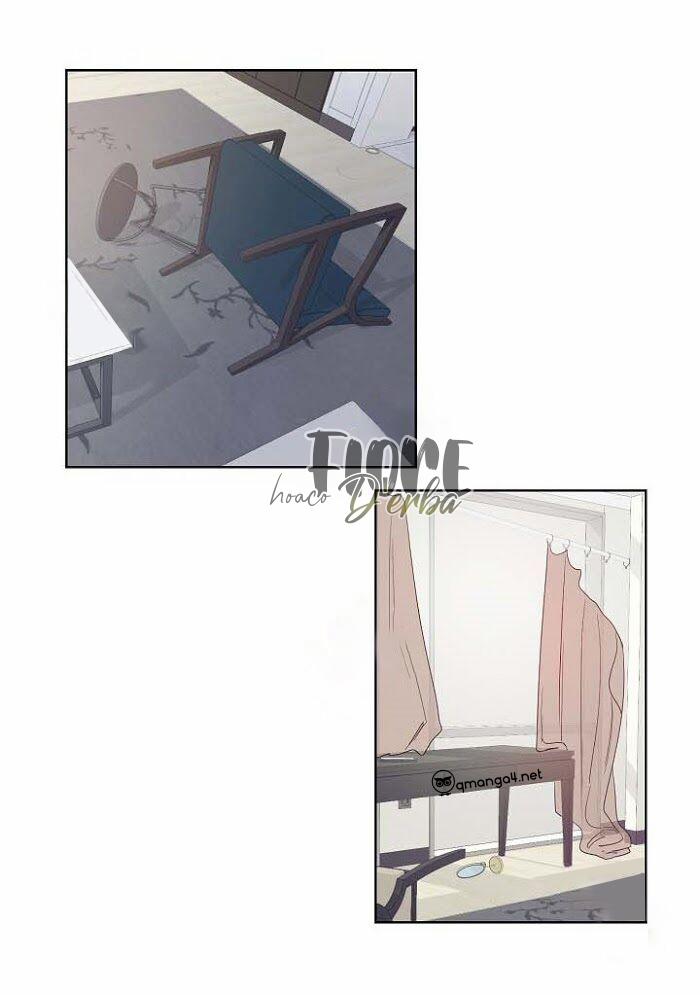 Thành Phố Cạm Bẫy 10 trang 5