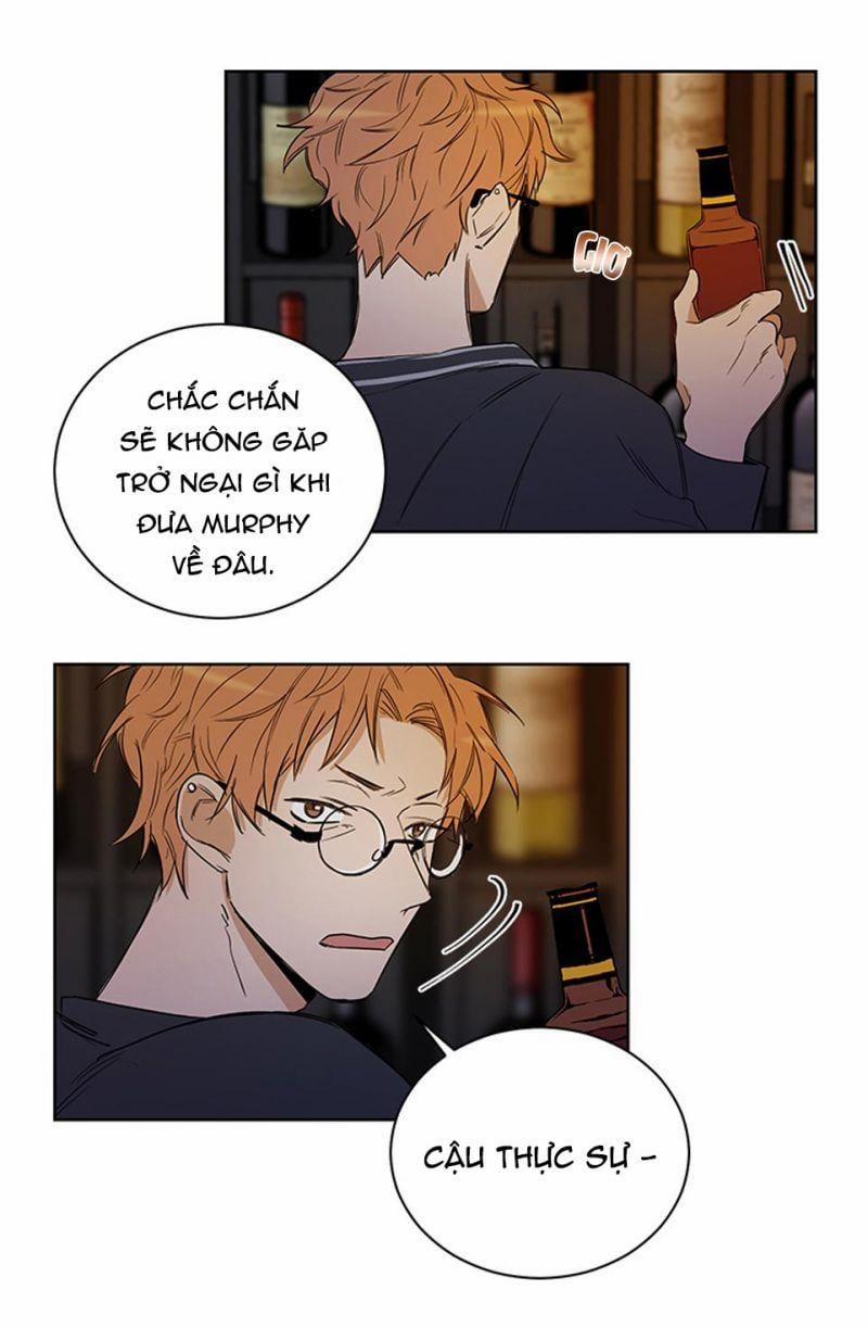 Thành Phố Cạm Bẫy 2 trang 12