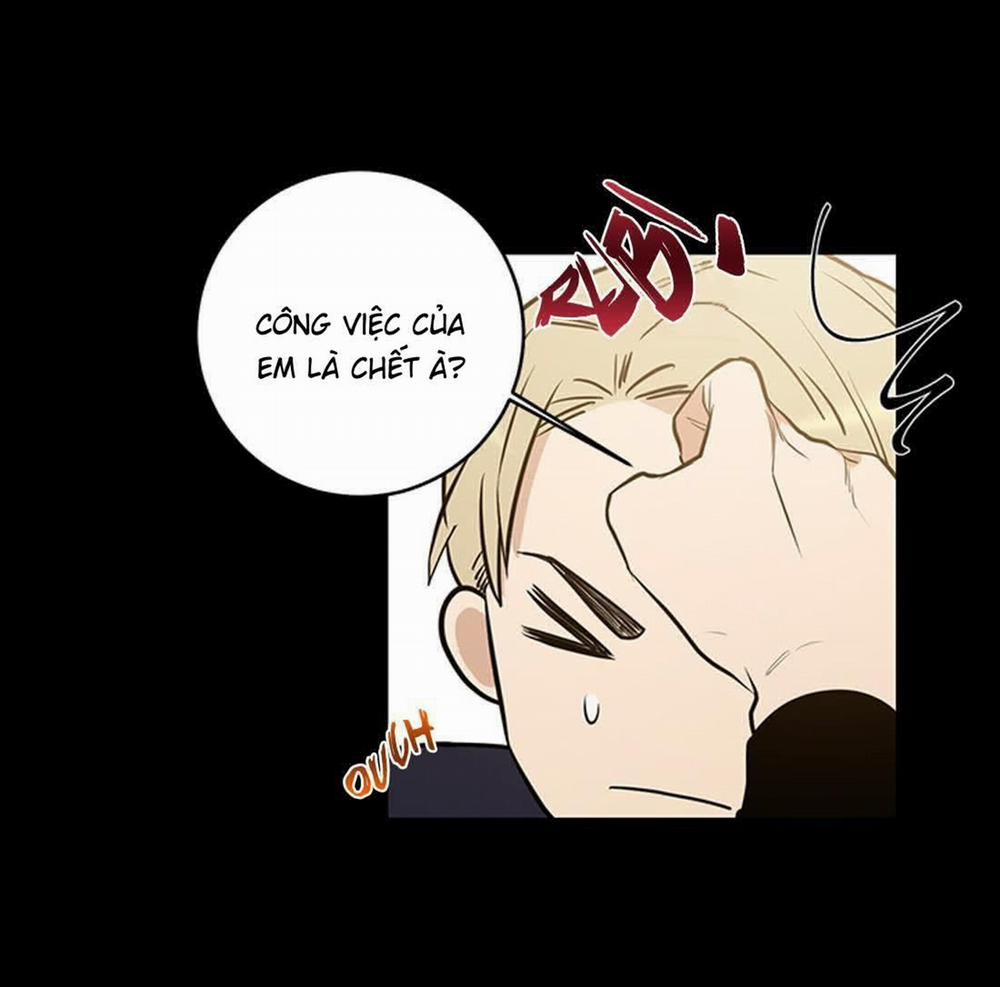 Thành Phố Cạm Bẫy 4 trang 10