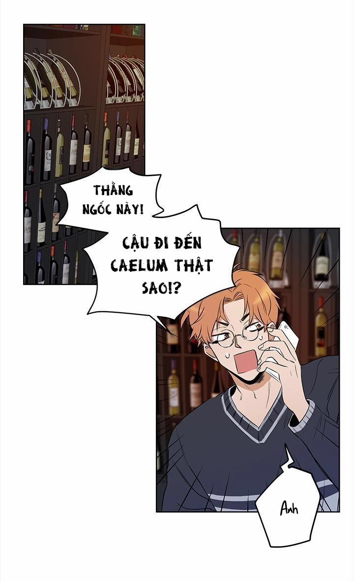 Thành Phố Cạm Bẫy 4 trang 31