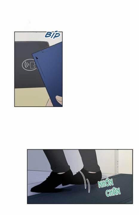 Thành Phố Cạm Bẫy 5 trang 1