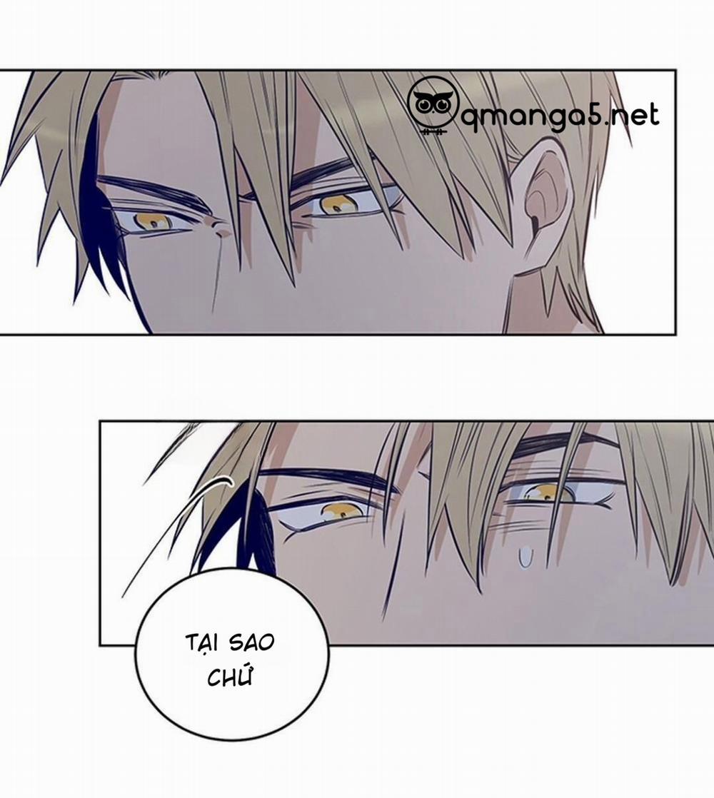 Thành Phố Cạm Bẫy 5 trang 16