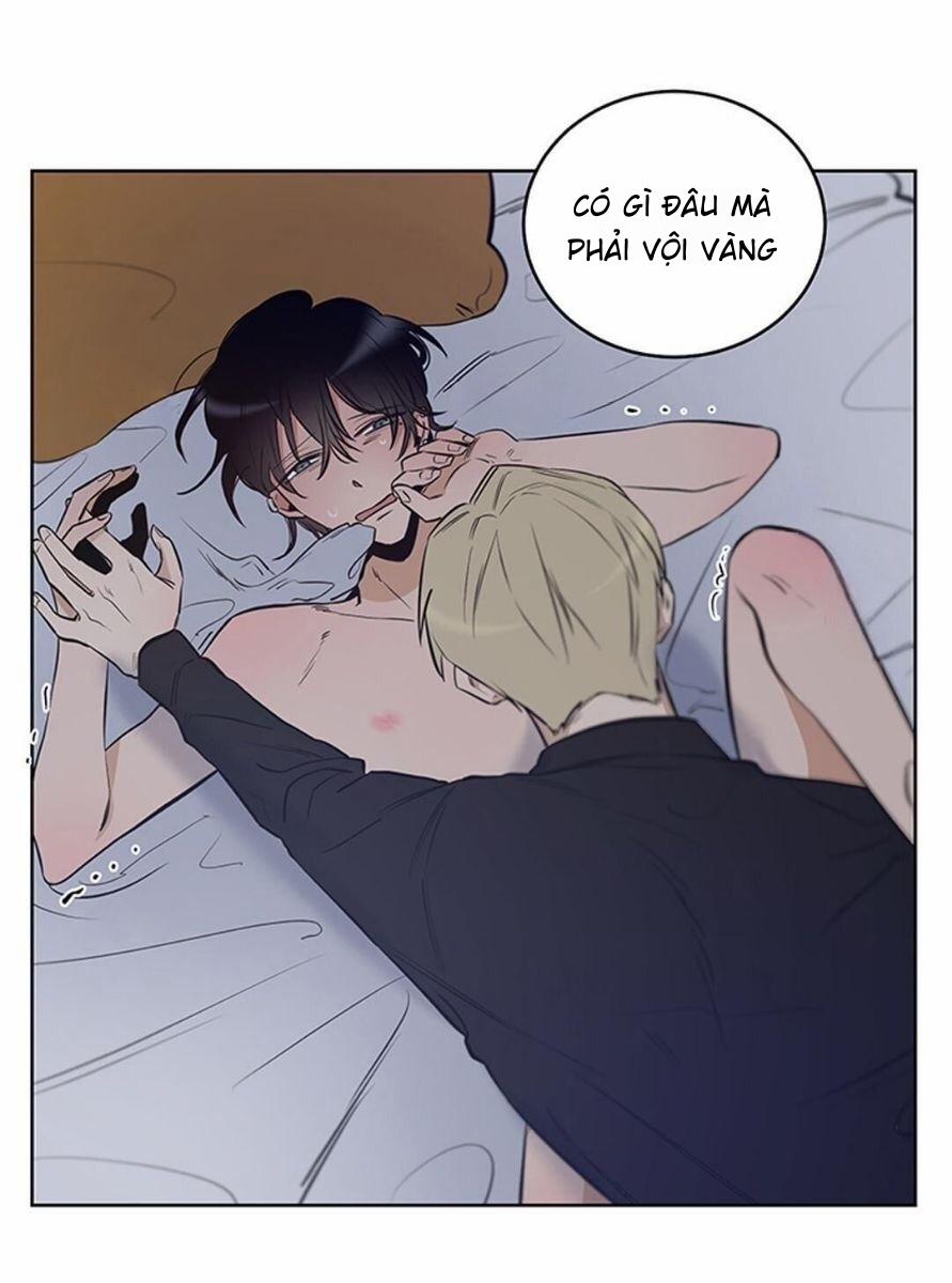 Thành Phố Cạm Bẫy 5 trang 23