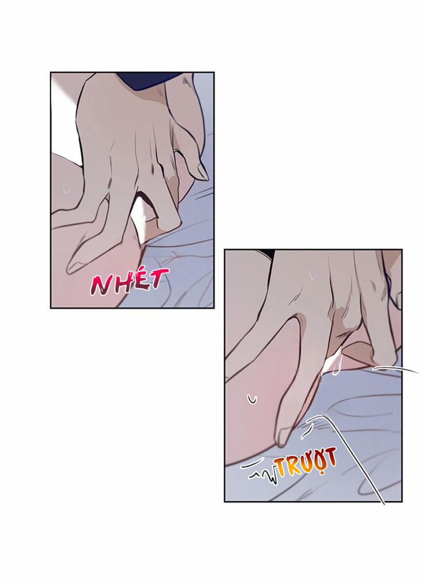 Thành Phố Cạm Bẫy 5 trang 24