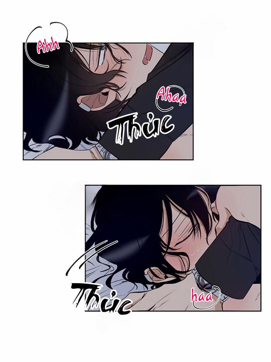 Thành Phố Cạm Bẫy 5 trang 28