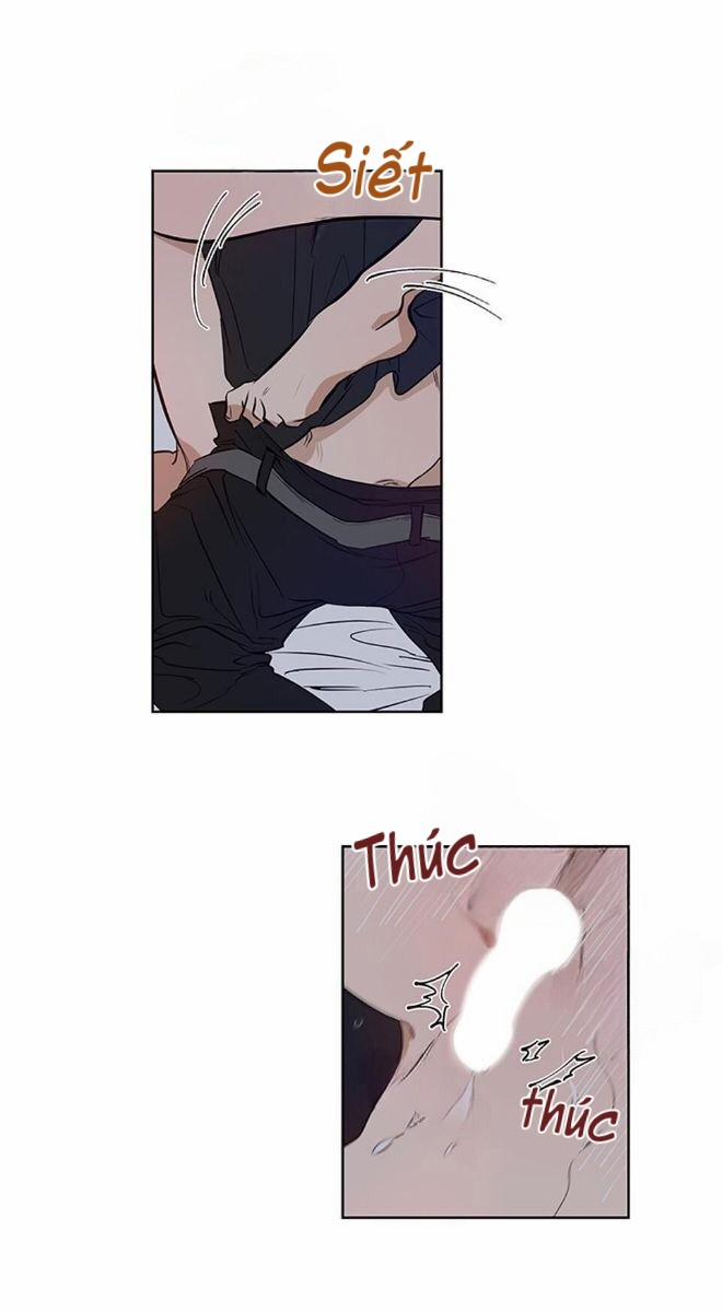 Thành Phố Cạm Bẫy 5 trang 34