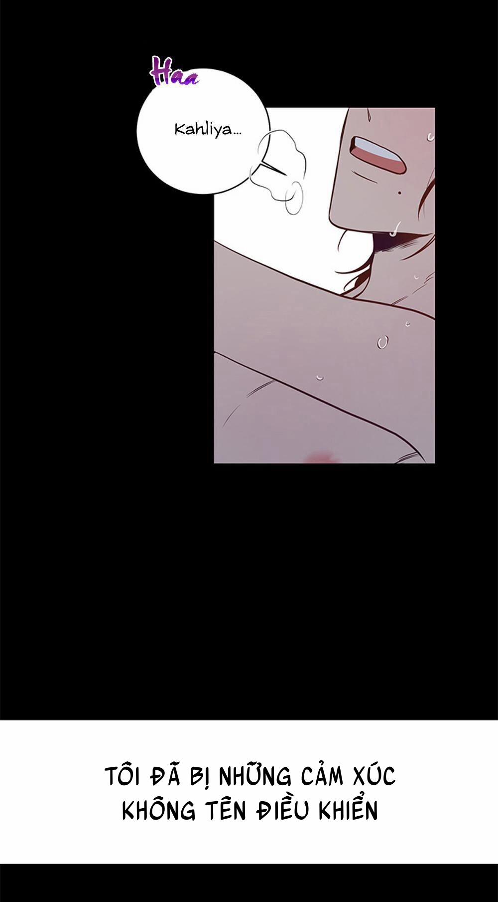 Thành Phố Cạm Bẫy 6 trang 6