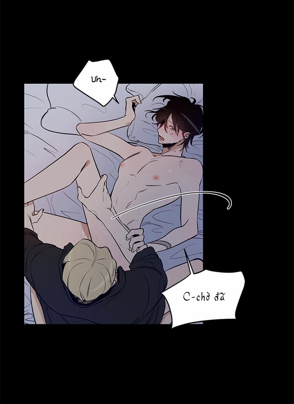 Thành Phố Cạm Bẫy 6 trang 7