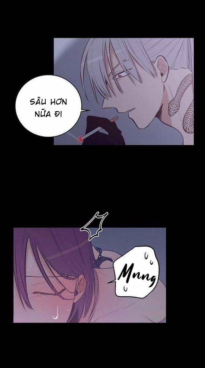 Thành Phố Cạm Bẫy 8 trang 11