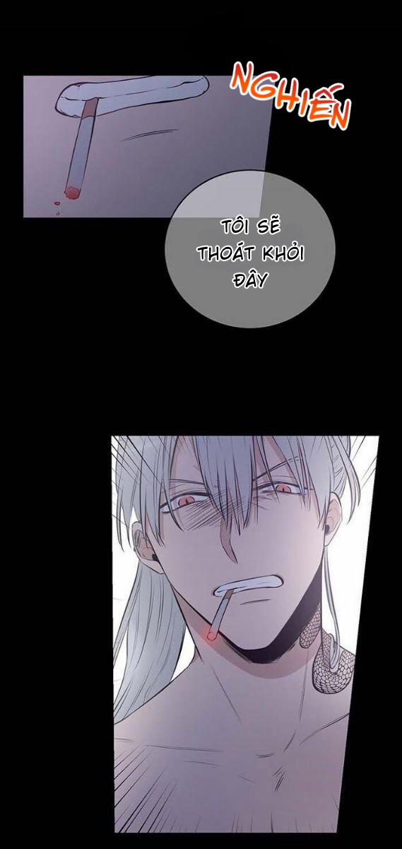 Thành Phố Cạm Bẫy 8 trang 14