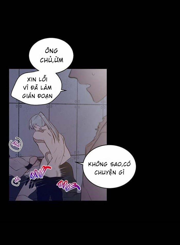 Thành Phố Cạm Bẫy 8 trang 19