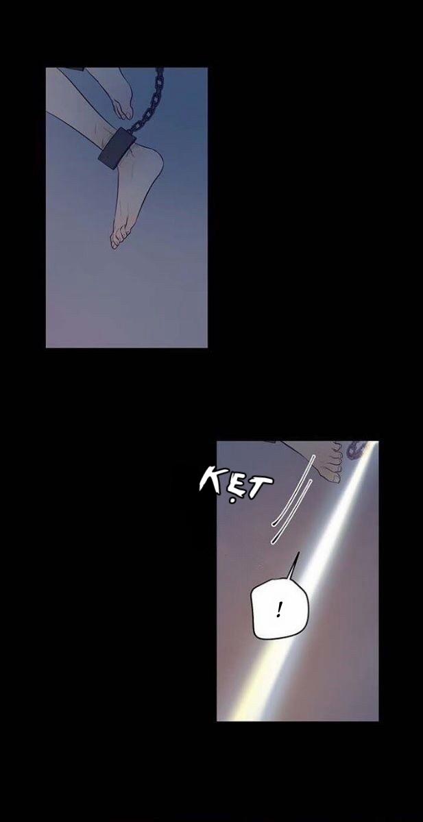 Thành Phố Cạm Bẫy 8 trang 2