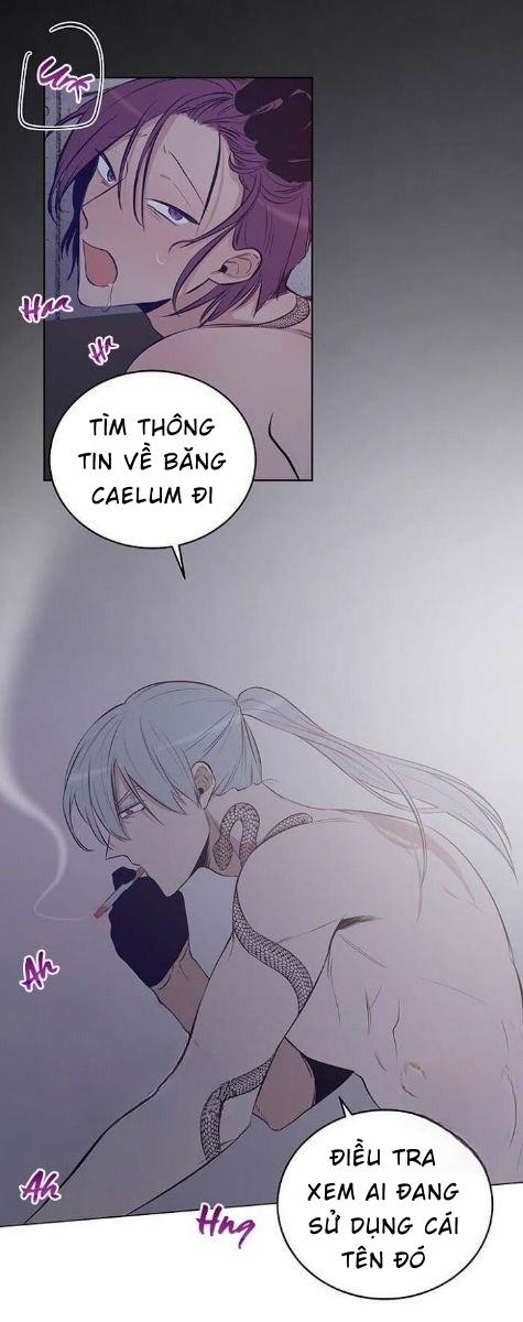 Thành Phố Cạm Bẫy 8 trang 23