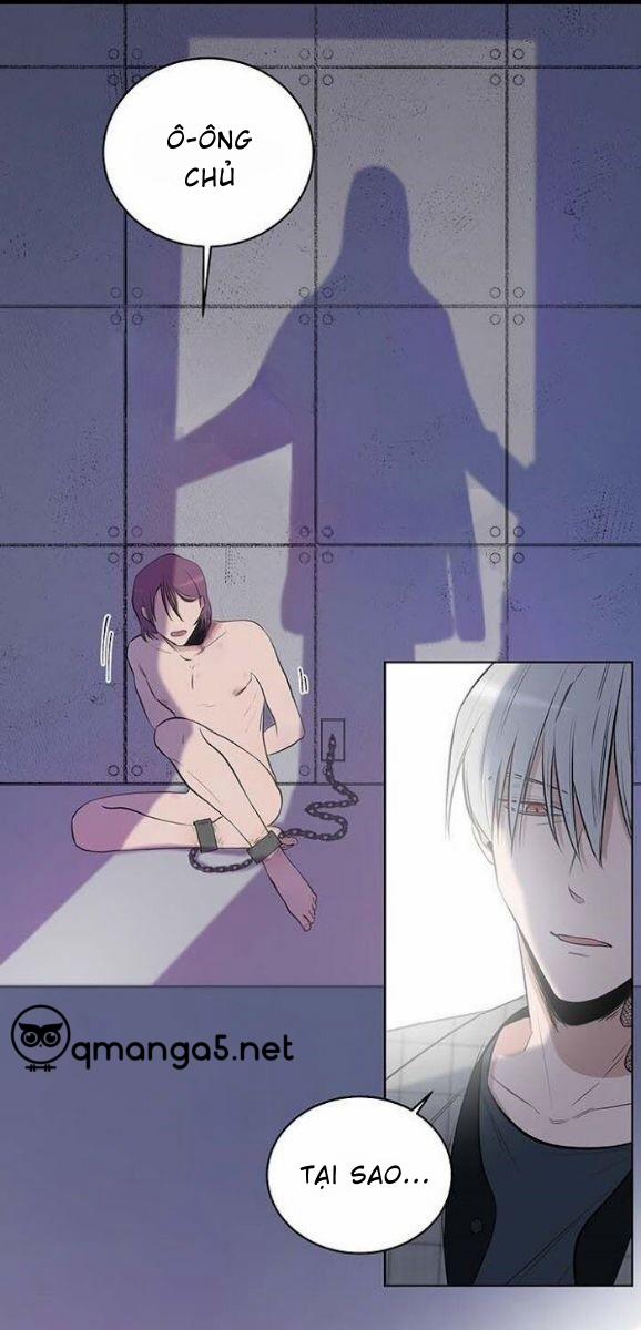 Thành Phố Cạm Bẫy 8 trang 3