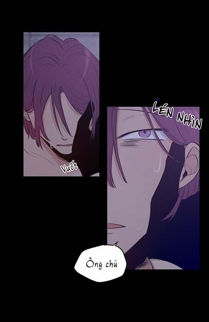 Thành Phố Cạm Bẫy 8 trang 6