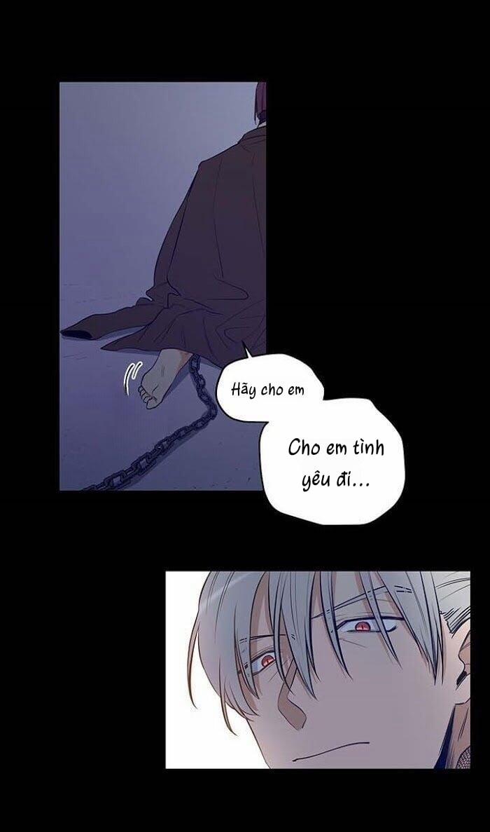 Thành Phố Cạm Bẫy 8 trang 7