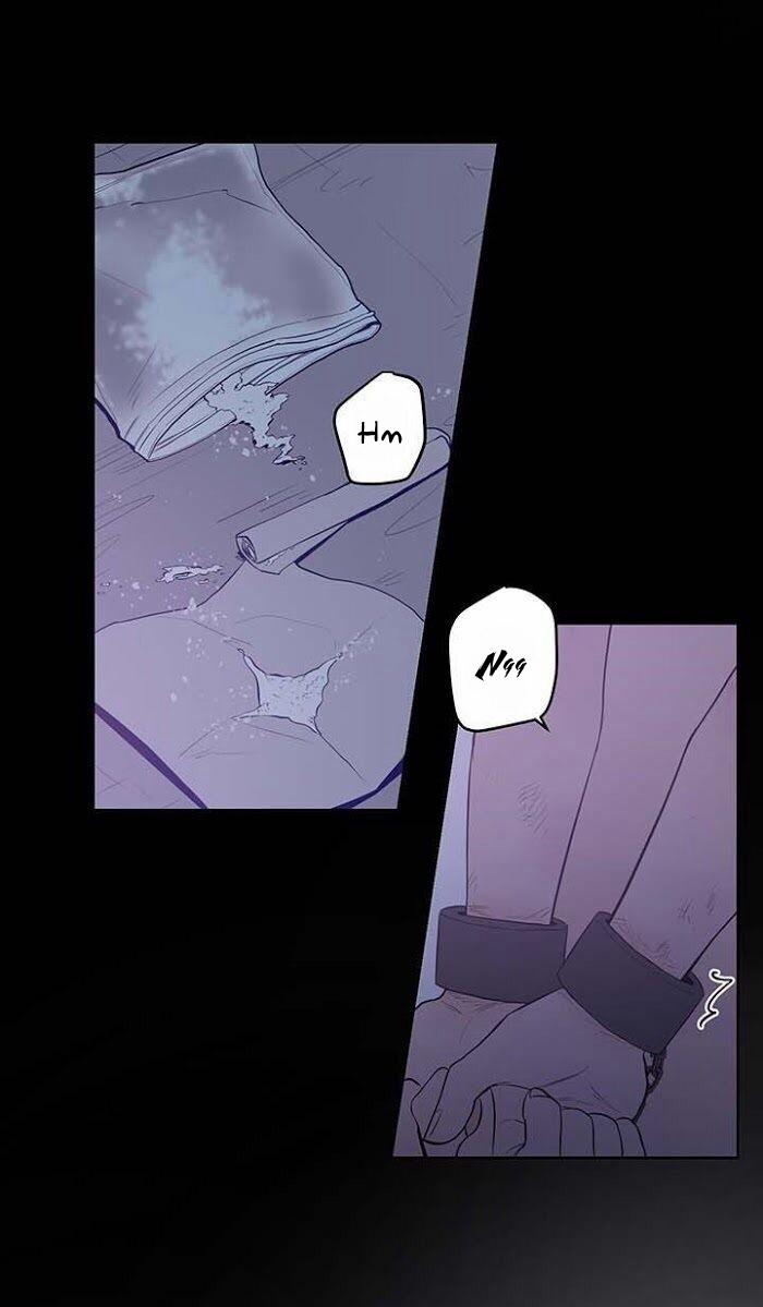 Thành Phố Cạm Bẫy 8 trang 9