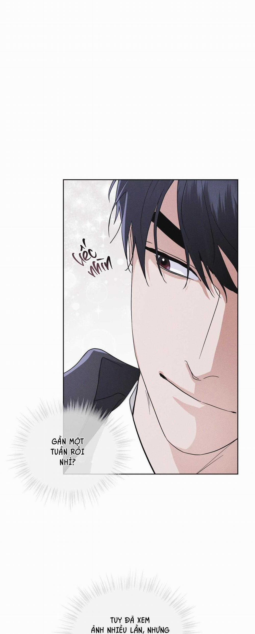 Thành Phố Cầu Vồng 51 trang 25