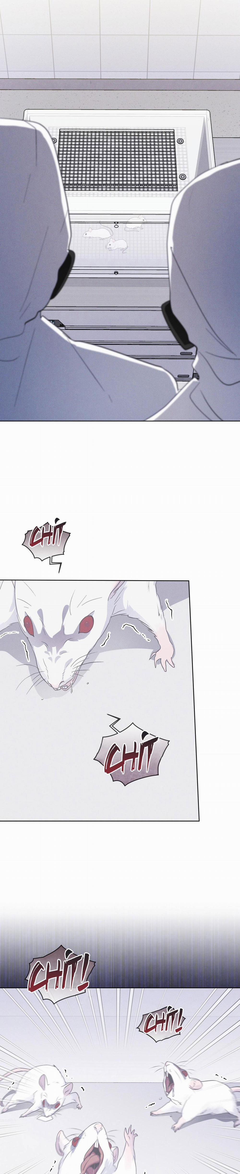 Thành Phố Cầu Vồng 54 trang 19