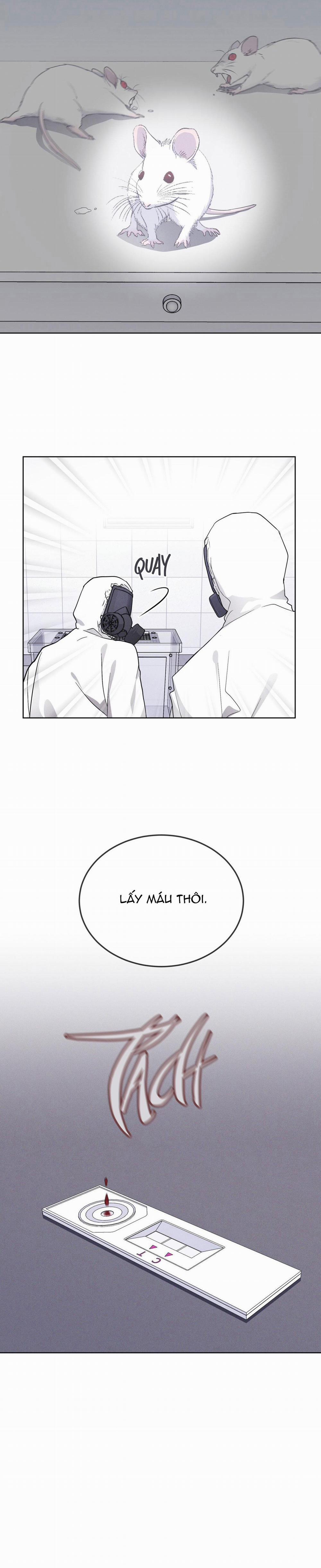 Thành Phố Cầu Vồng 54 trang 22