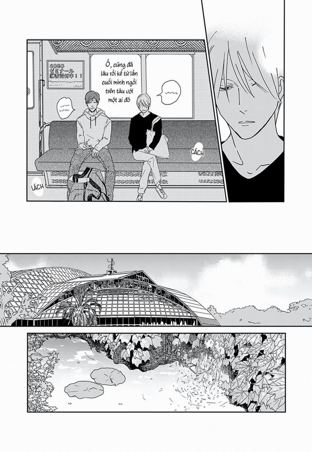 Thao túng 5 trang 19