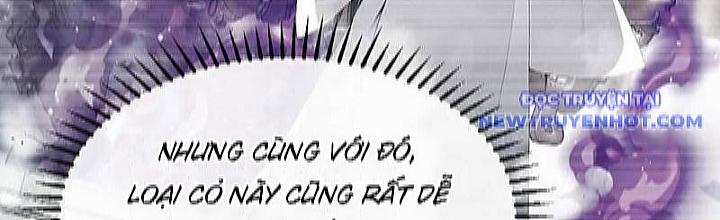 Thập Đại Đế Hoàng Đều Là Đệ Tử Của Ta 394 trang 3