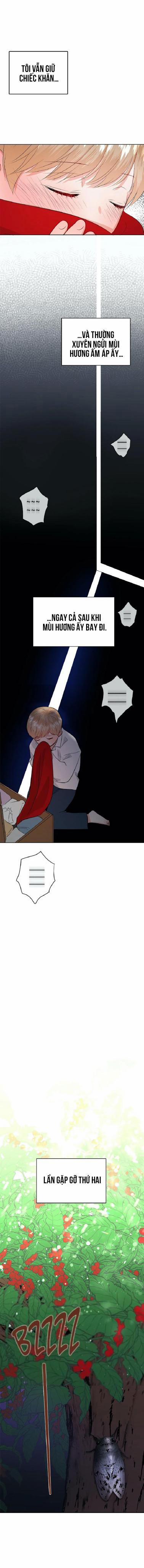 Thầy Giáo Thể Dục M 29 trang 15