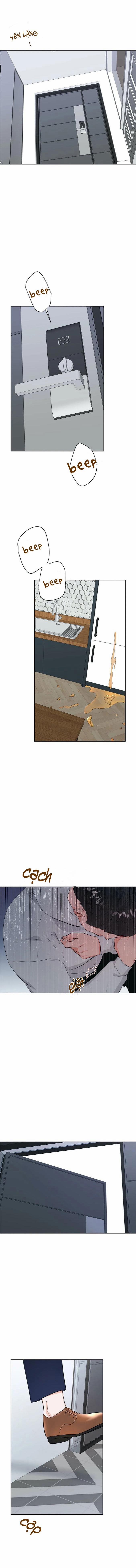 Thầy Giáo Thể Dục M 50 trang 2