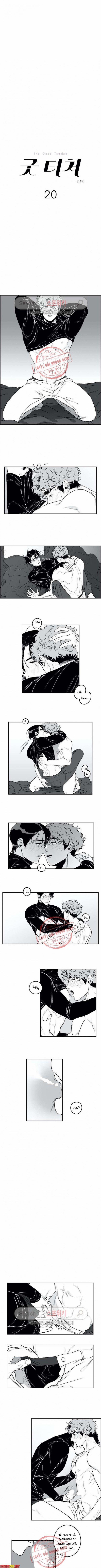 Thầy Giáo Tốt 20 trang 0