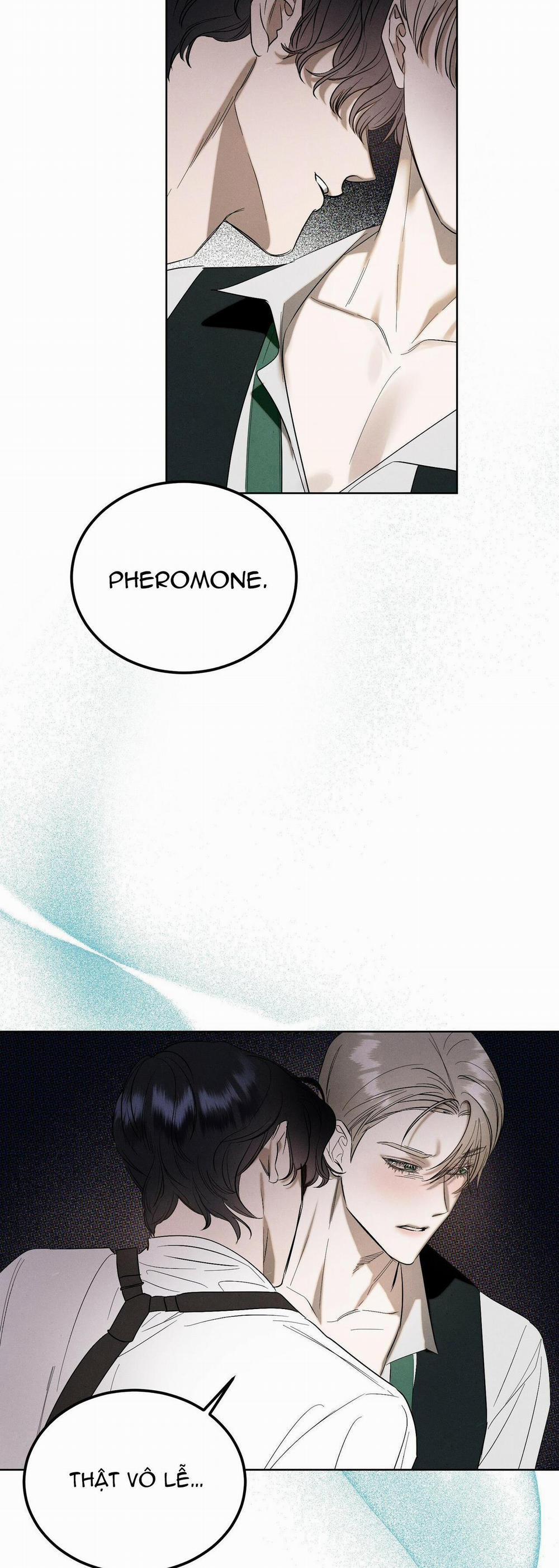 The Essence 1 trang 15
