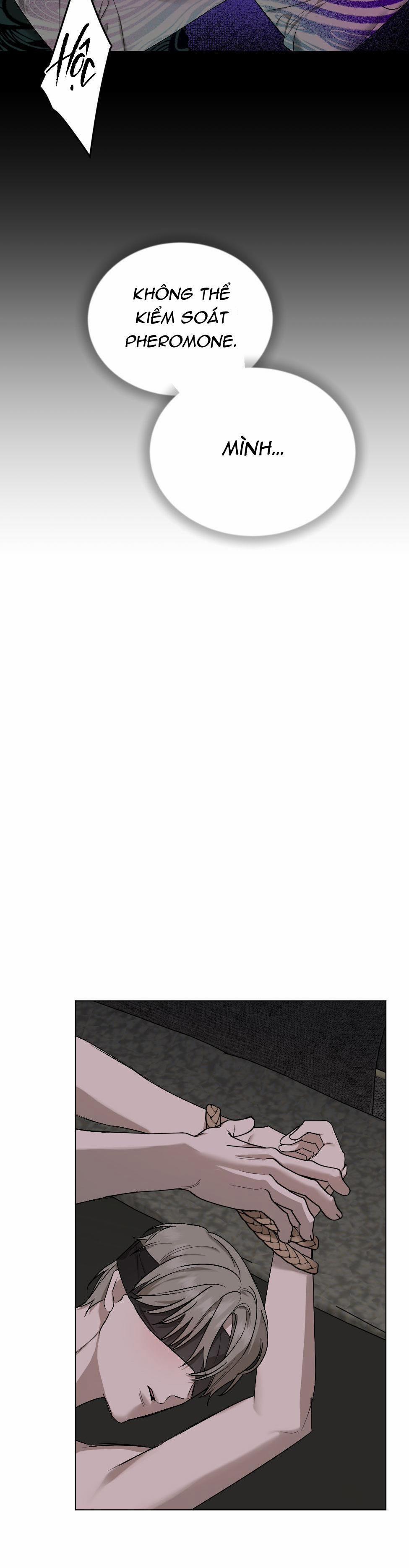 The Essence 2 trang 40