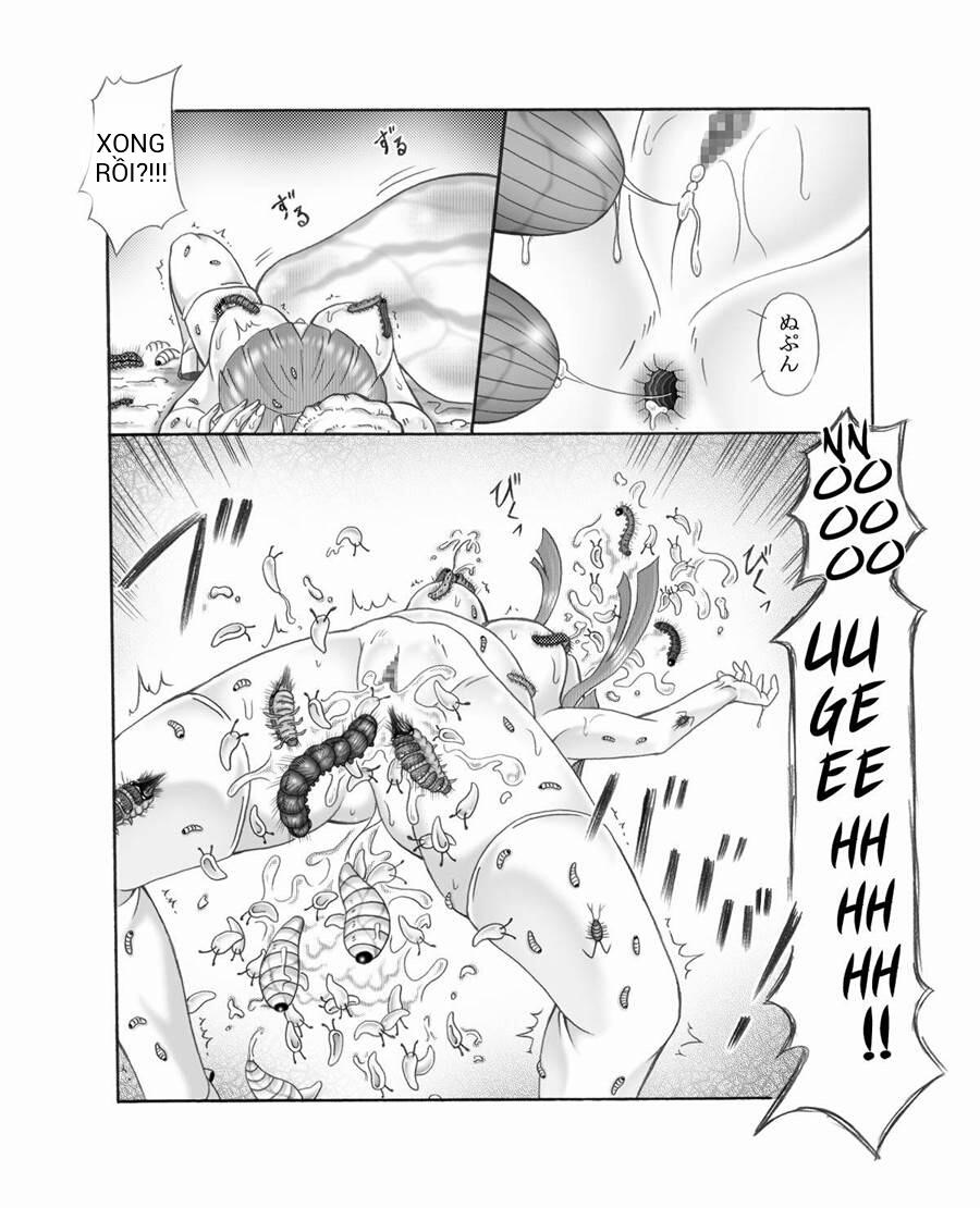 Thế giới côn trùng 5 [END] trang 7