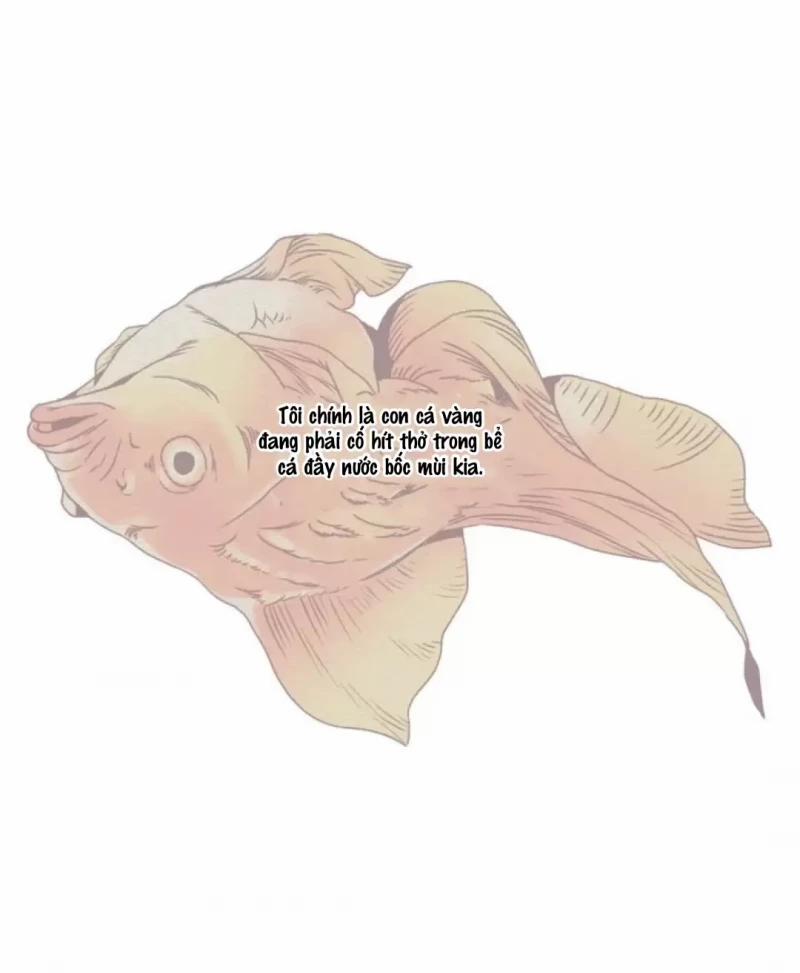 Thế Giới Của Những Quân Cờ 1 trang 80