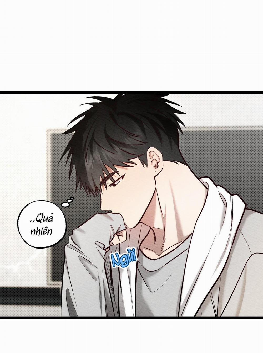 Thể Loại Lãng Mạn 11 trang 11