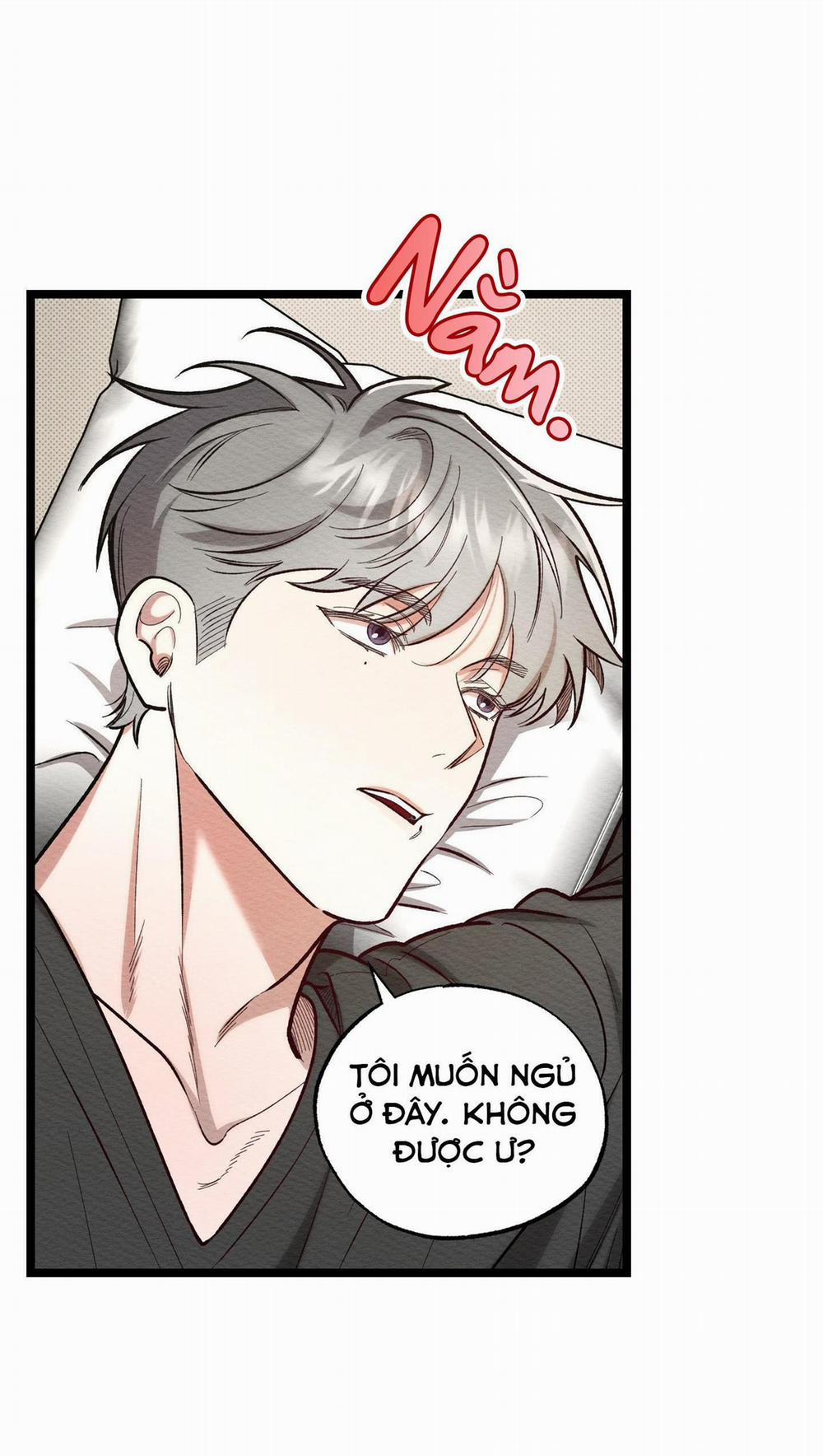 Thể Loại Lãng Mạn 11 trang 39